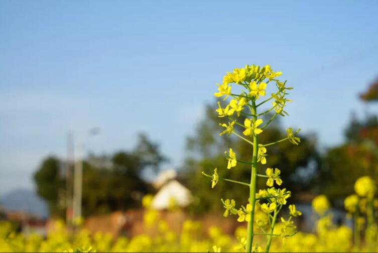 春季該如何預(yù)防控制高血壓？