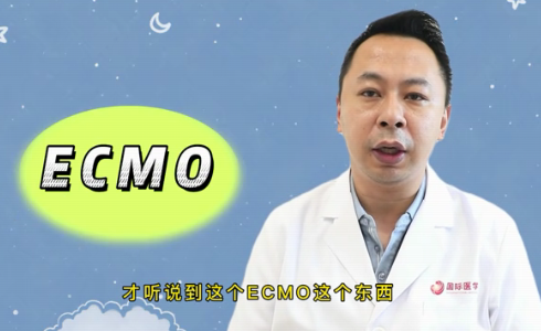 什么是ECMO？