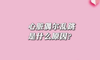 【名醫(yī)面對(duì)面之心臟100問】心臟偶爾亂跳是什么原因？
