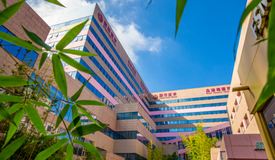 國醫(yī)四味：竹林、紫杉、桂花、銀杏，還有那……