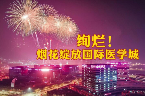 絢爛！煙花綻放國際醫(yī)學(xué)城